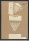 Trinacria weissflogii Witt. (de-Toni-Nr.: Genus 119, Species 3413) Zeichnungen Sammlung Grunow Nr. 6853 (NHMW-BOT-W0375709)